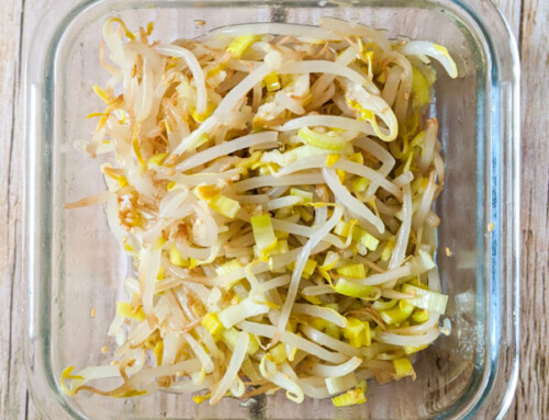 Sukju Namul / Salade de pousses de haricot mungo / 숙주나물